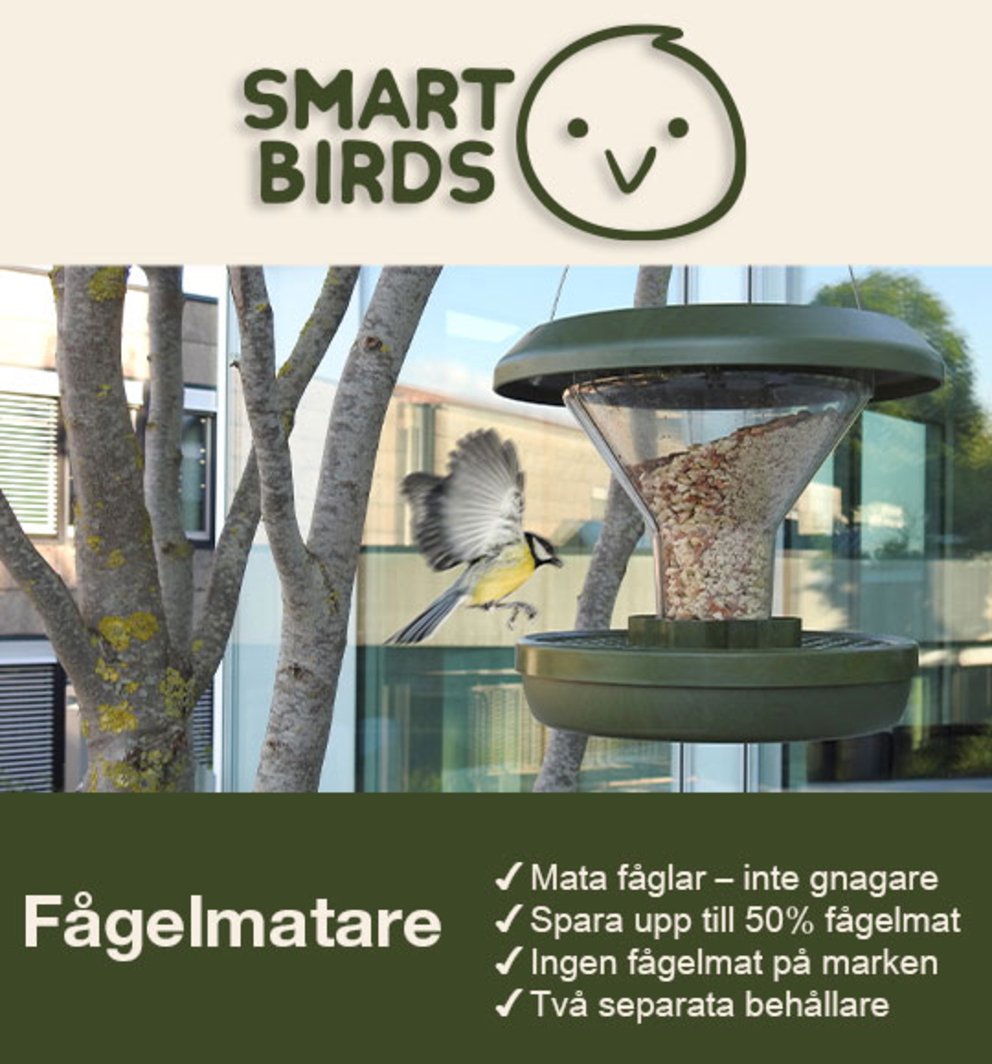 Fågelmatare Smart Birds
