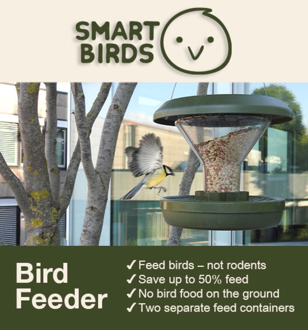 Bird Feeder Smart Birds