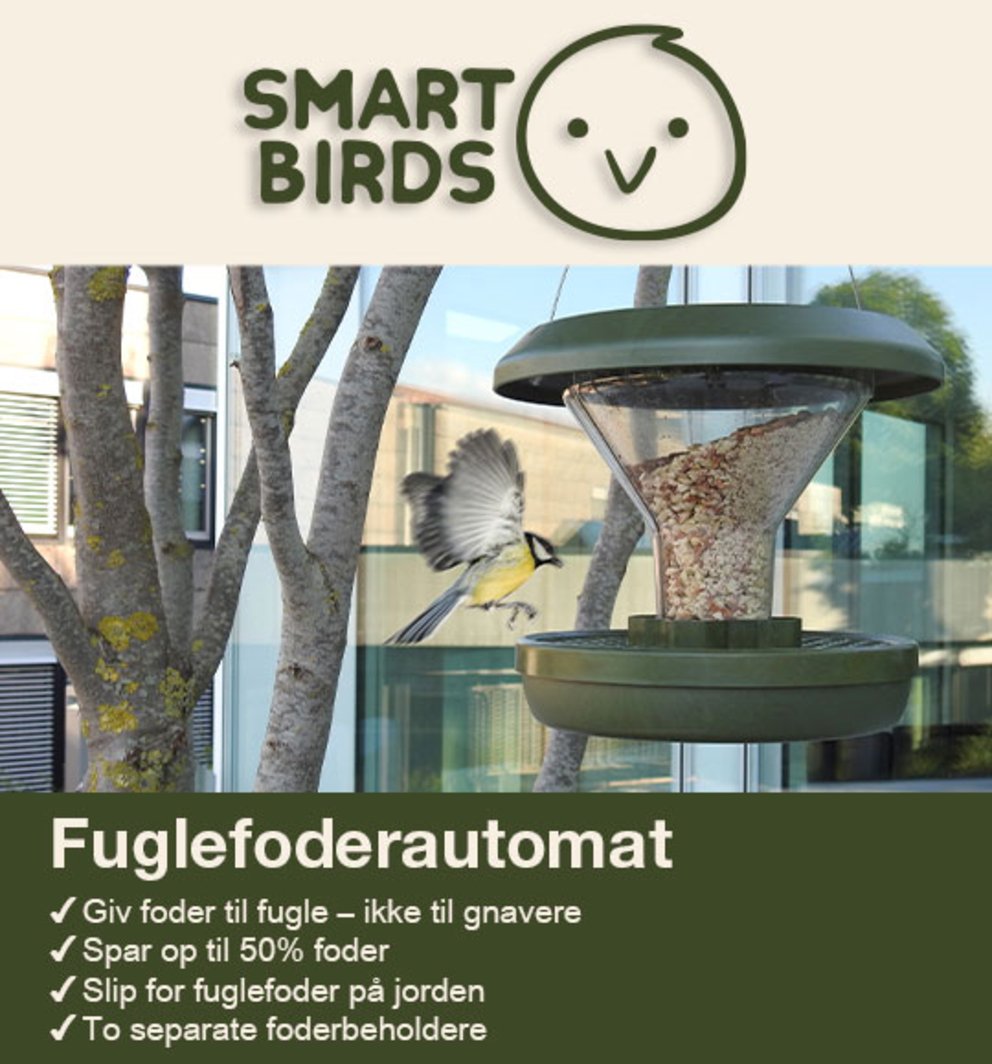 Fuglefoderautomat Smart Birds
