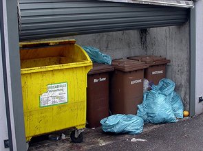 Müllsammelplatz Rattenbefall