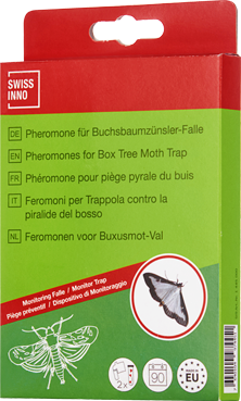 Refilling Box Tree Moth Trap