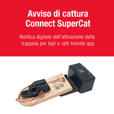 Avviso di cattura Connect SuperCat Trappola per Topi SuperCat in legno FSC®