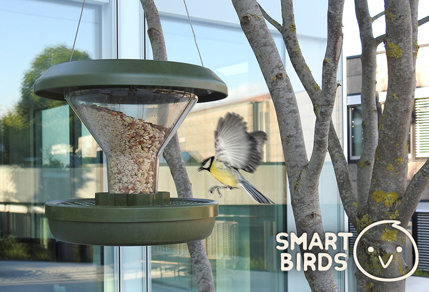 SMART BIRDS Mangiatoria per Uccelli 
